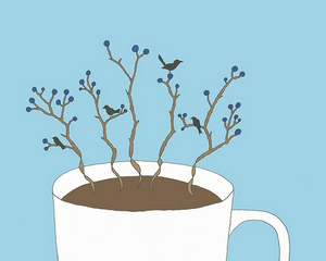 Coffee Dreams